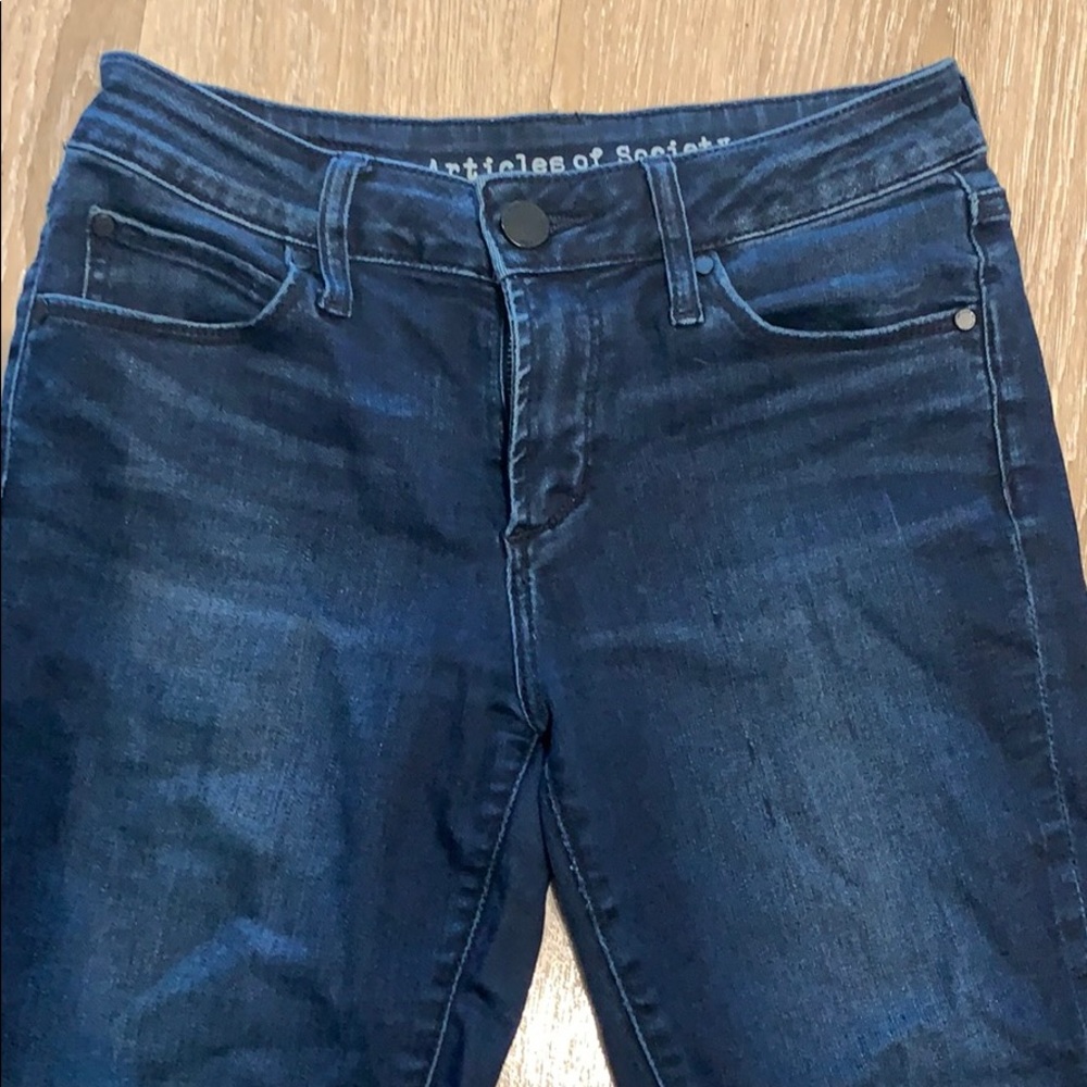 Articles of Society Skinny Ankle Jeans
